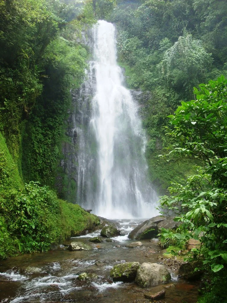 Wasserfall in Veracruz im perfekten Anbauklima in Mexiko