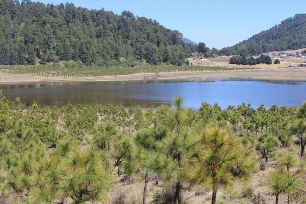 Trockenes Hochland-Klima in Mexiko bei Amanalco mit Nadelwald und Lagune