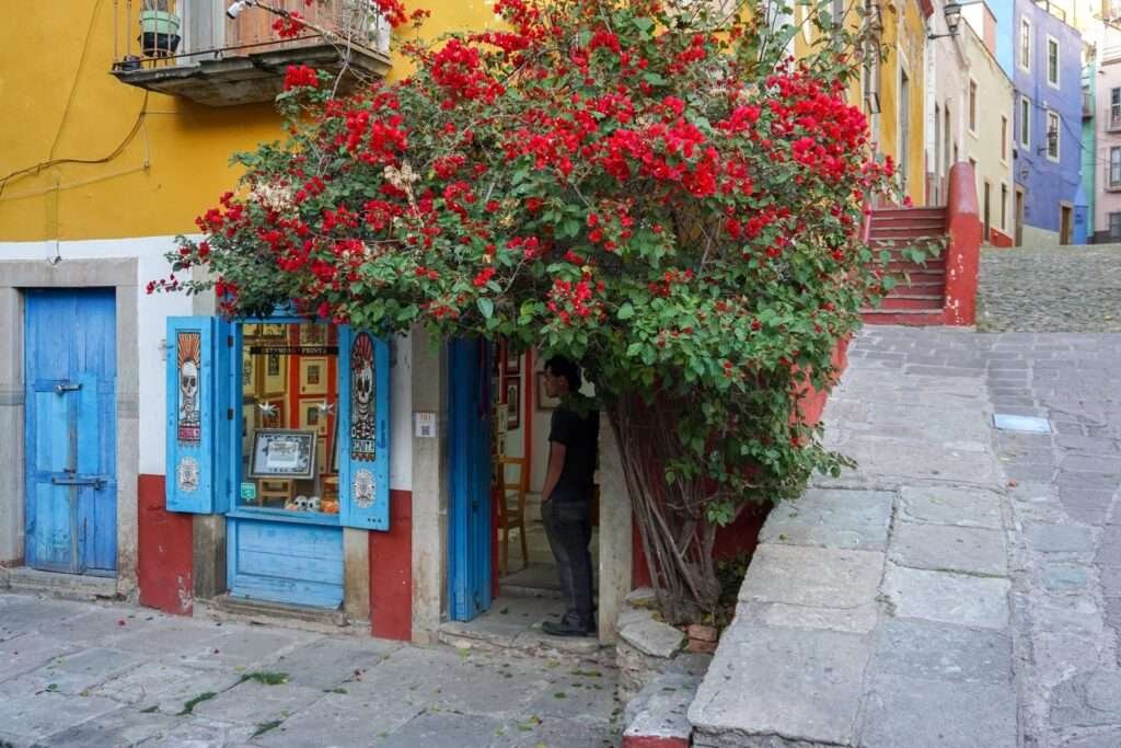 Leben in Guanajuato – Kunstgalerie unter Bougainvillea im Gassenviertel