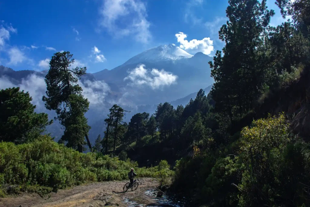 Blick auf den Cofre de Perote – perfektes Anbauklima in Mexiko