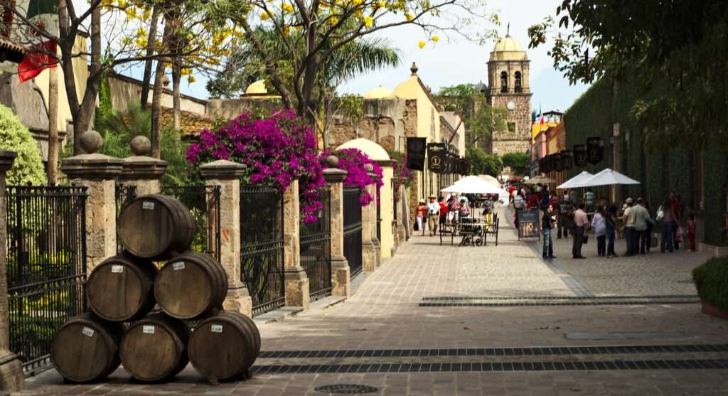 Straße in Tequila mit historischen Fassaden und blühenden Bougainvilleas, eines der wirtschaftlich bedeutendsten Pueblos Mágicos