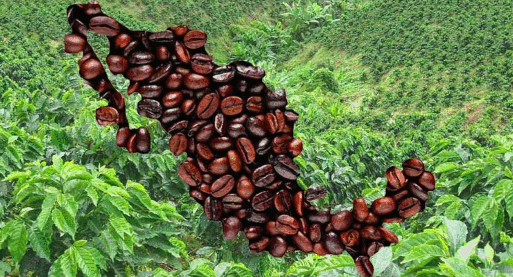 Mexiko-Karte aus Kaffeebohnen – Kaffee in Mexiko