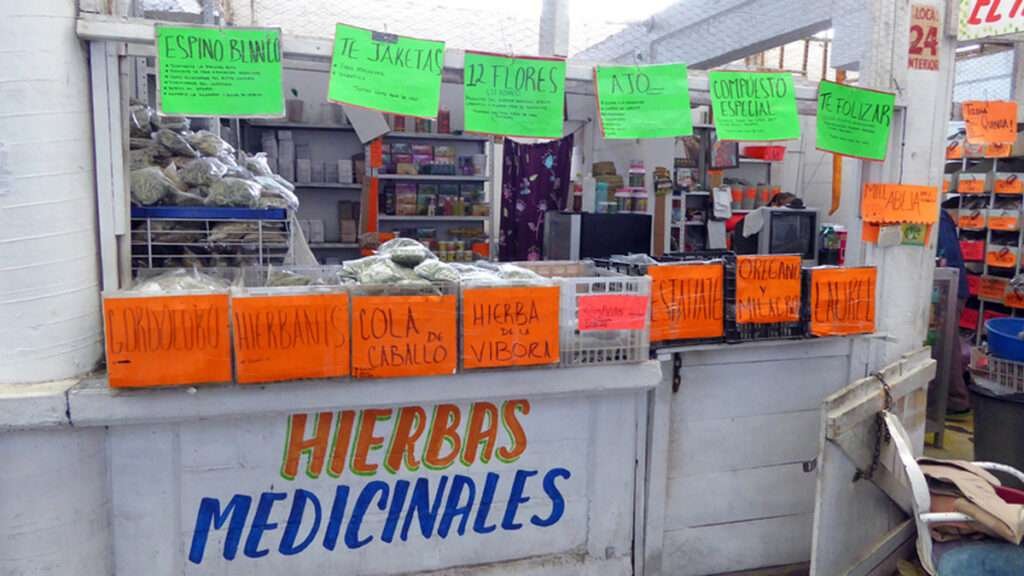 Markt für medizinische Kräuter in Mexiko – Gesund leben in Mexiko
