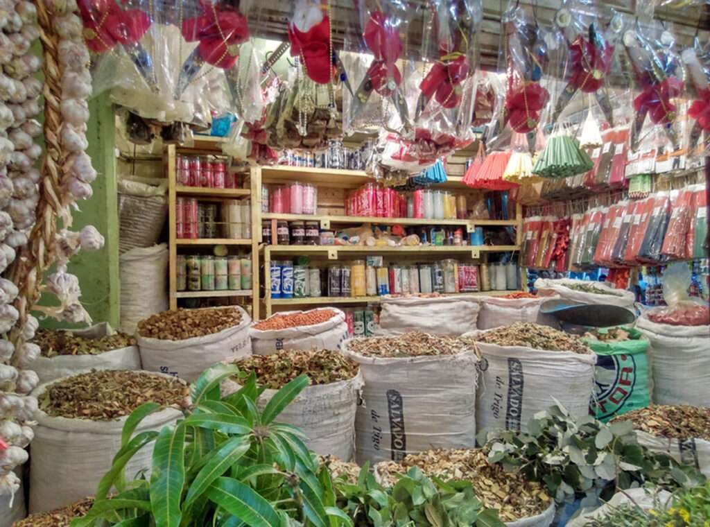 Heilpflanzenstand auf einem mexikanischen Markt – Gesund leben in Mexiko