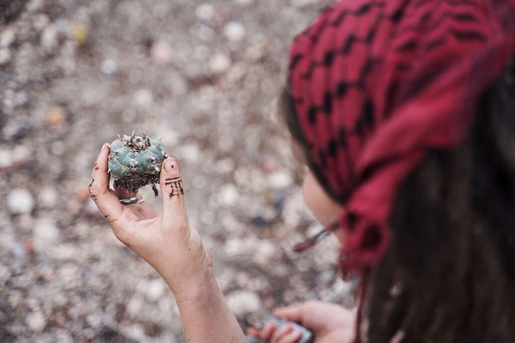 Frau mit Peyote-Kaktus in der Hand – psychoaktive Pflanzen in Mexiko