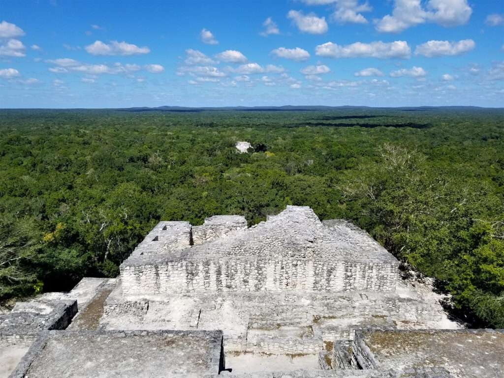 Aussicht von den Ruinen von Calakmul auf das endlose grüne Meer des Regenwalds in Campeche