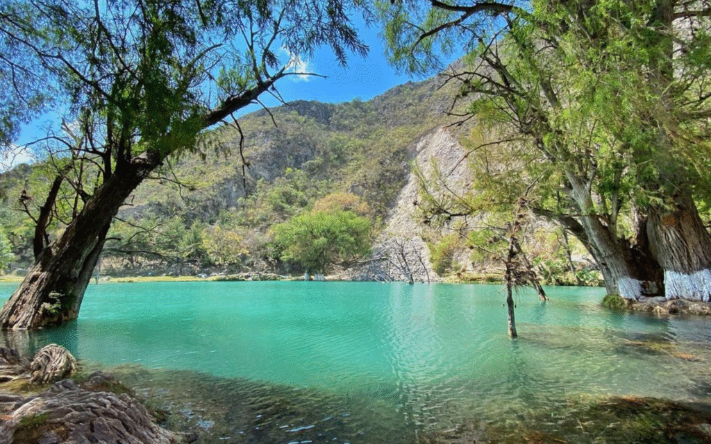 Türkisblauer Fluss in Oaxaca Mexiko mit Bäumen im Vordergrund