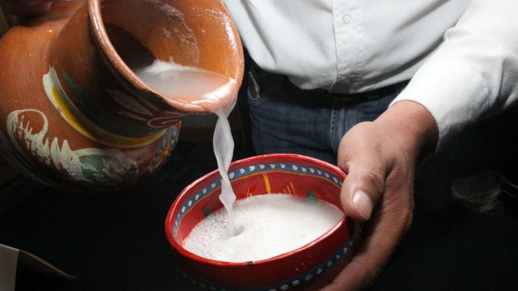Frisch servierter Pulque in Mexiko aus einem Tonkrug in eine traditionelle Schale